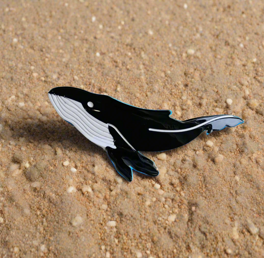Wallace the Black Hump Back Whale Claw Clip