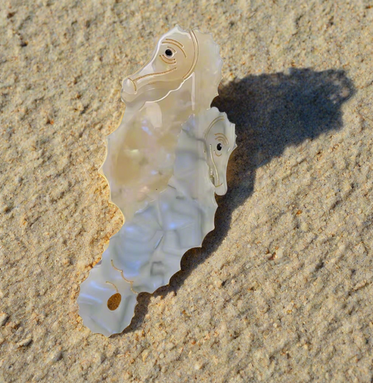 Sally The Seahorse Claw Clip