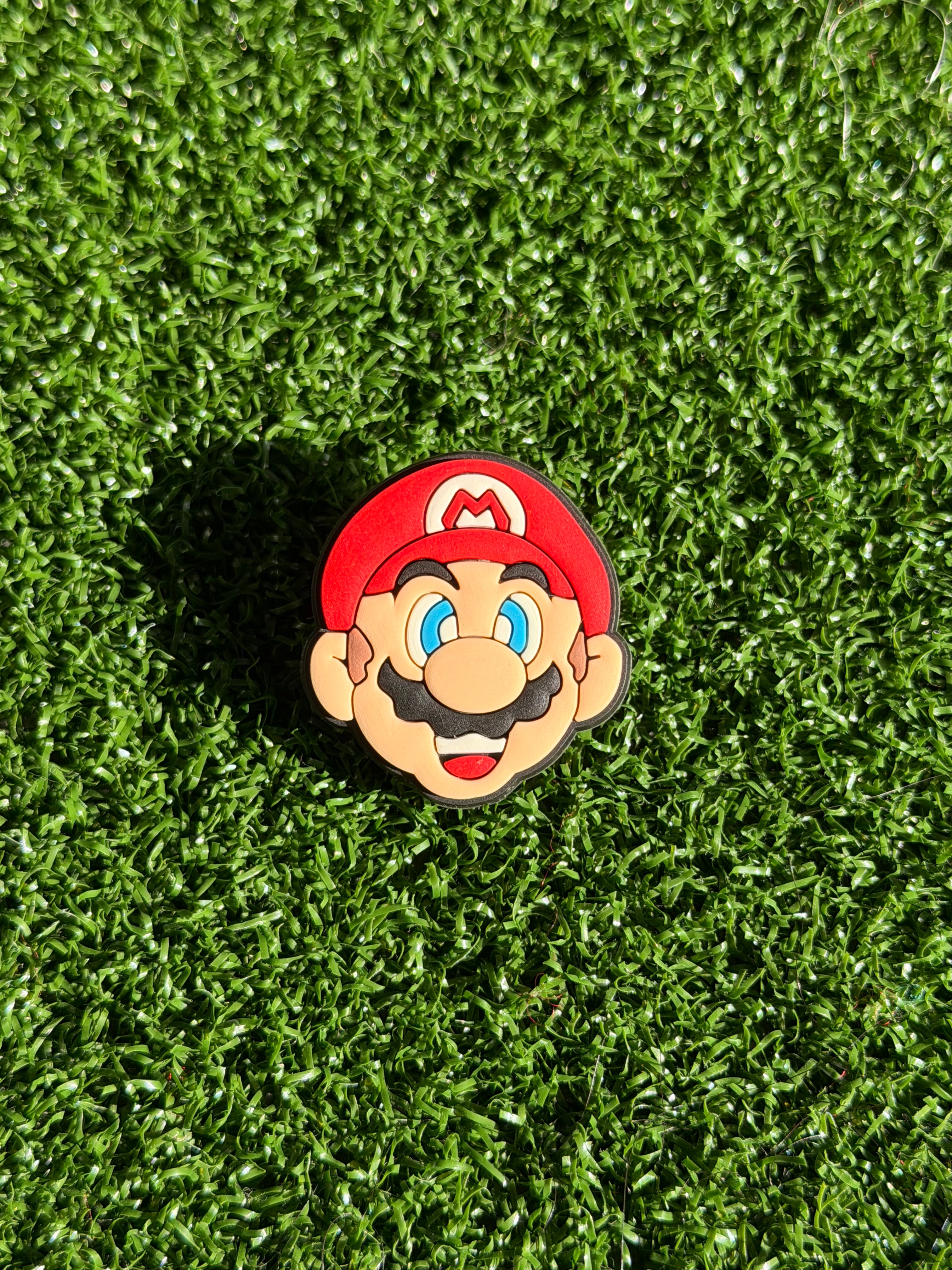 Mario & Luigi Charms