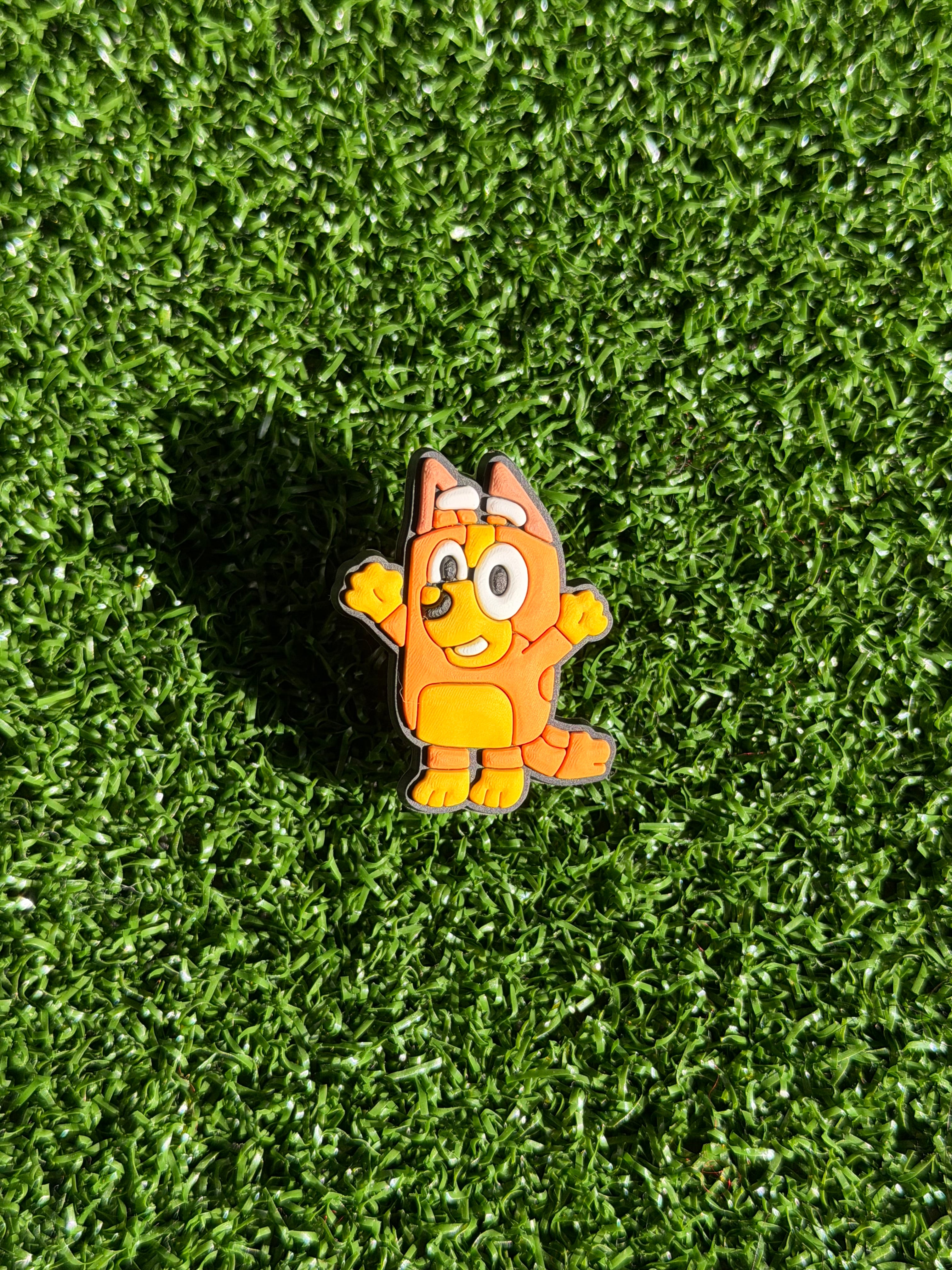 Bluey & Bingo Charms