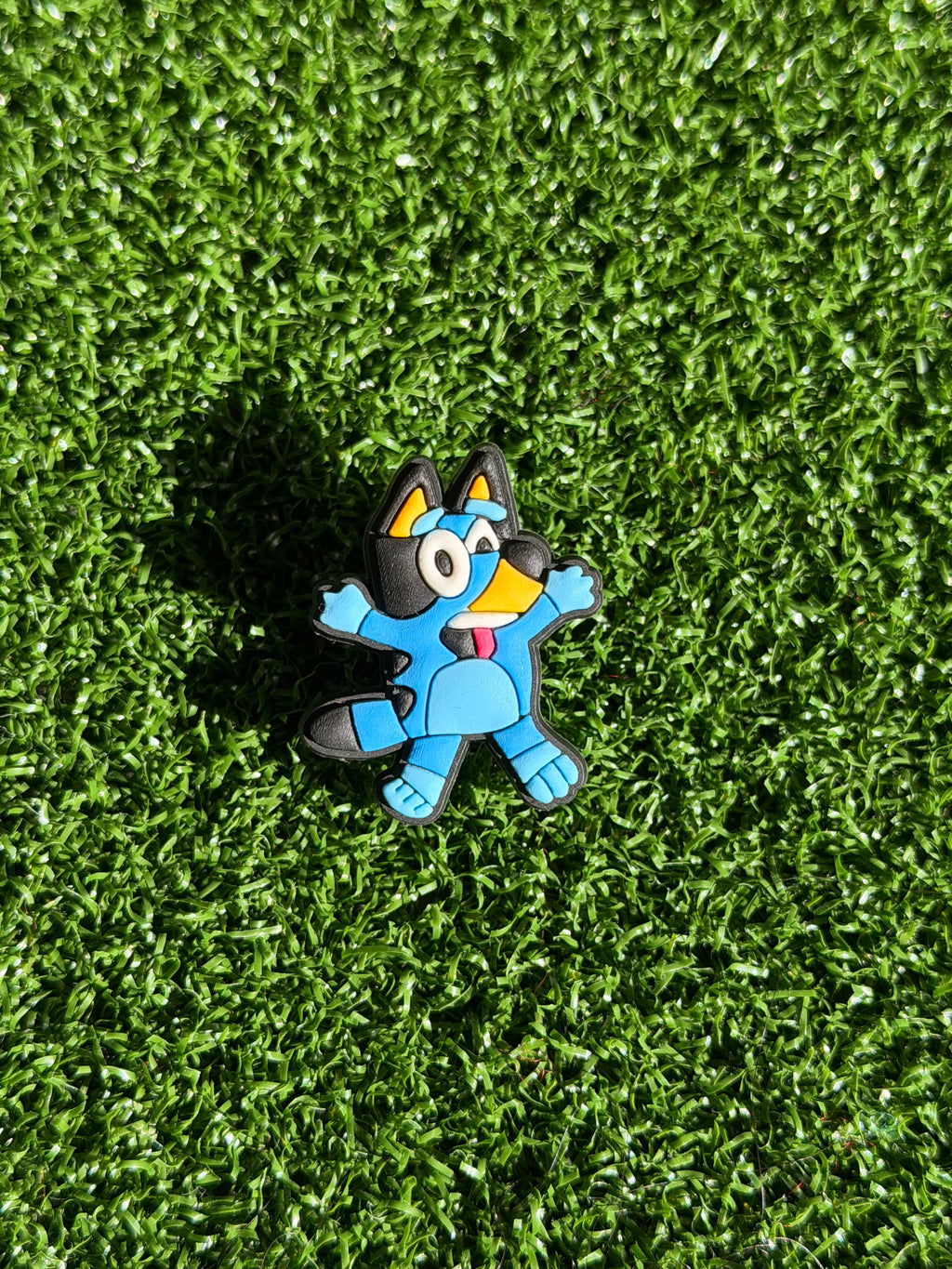 Bluey & Bingo Charms