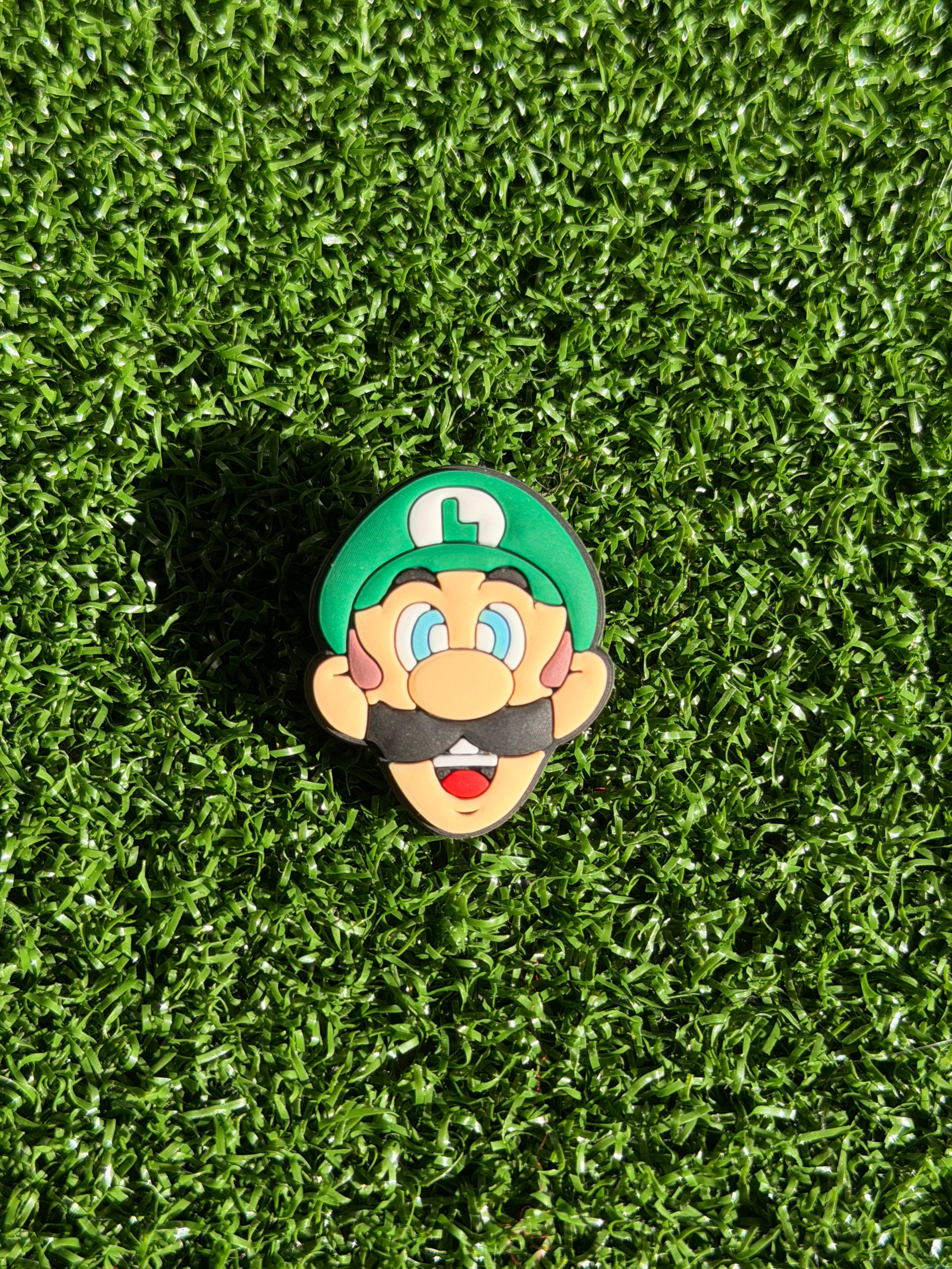 Mario & Luigi Charms