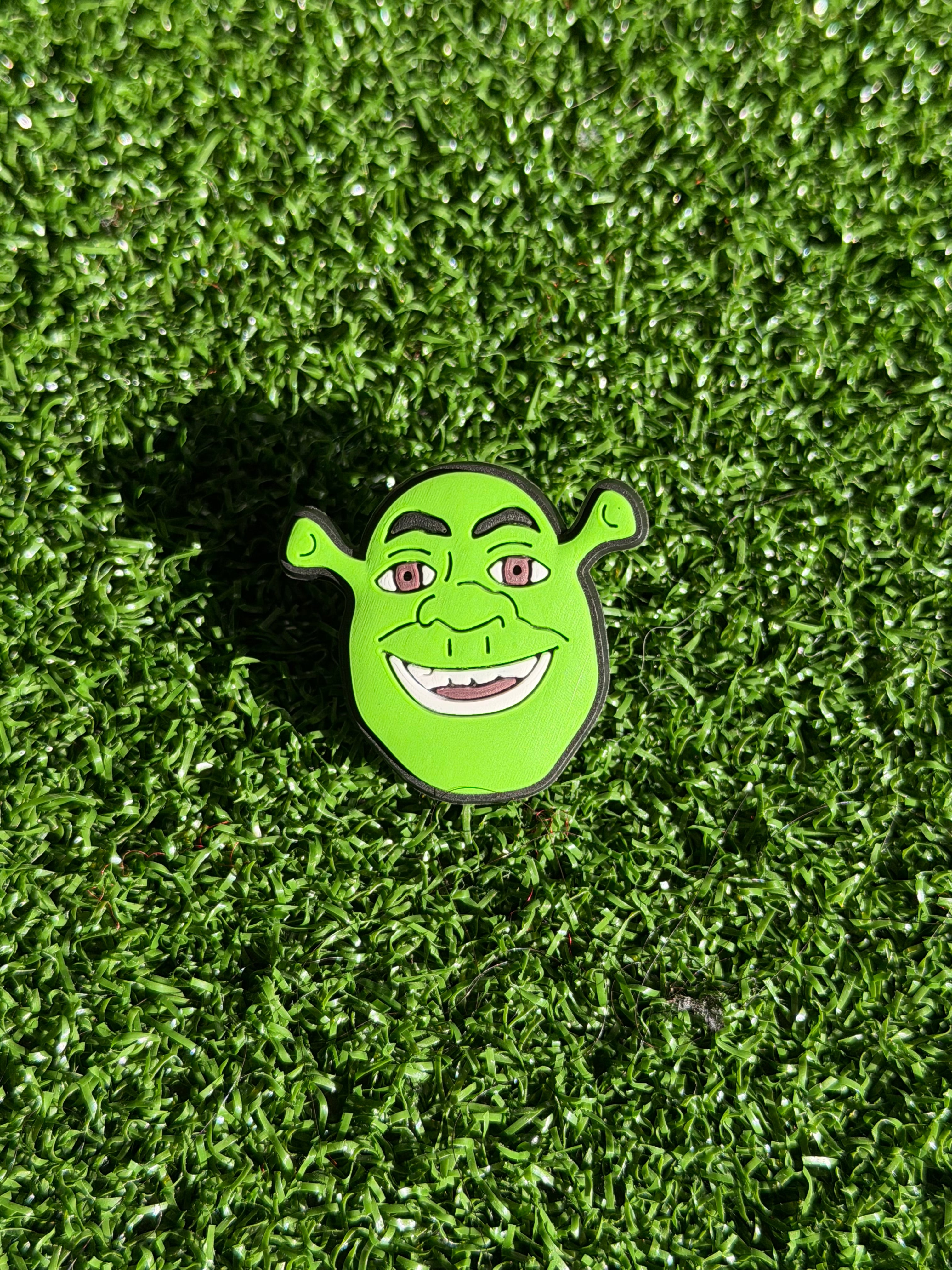 Shrek Charm