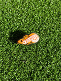 Hot Wheels Charm