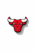 Bulls Charm