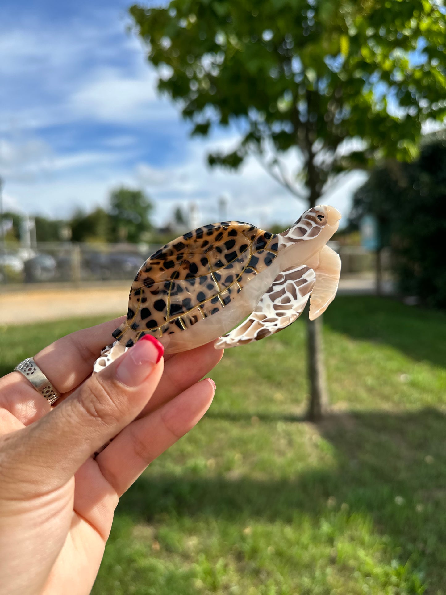 Leopard Turtle