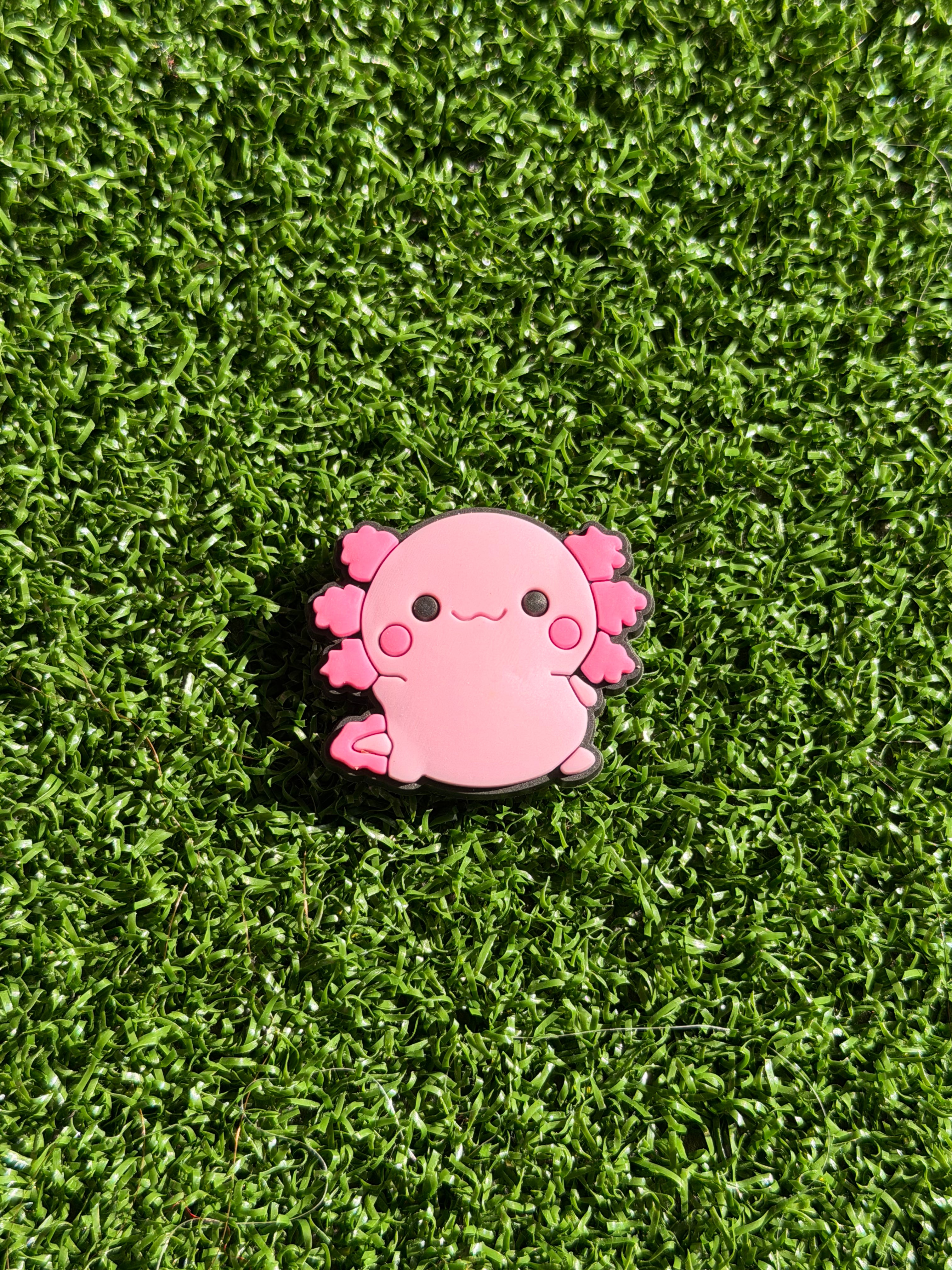 Axolotl Charm