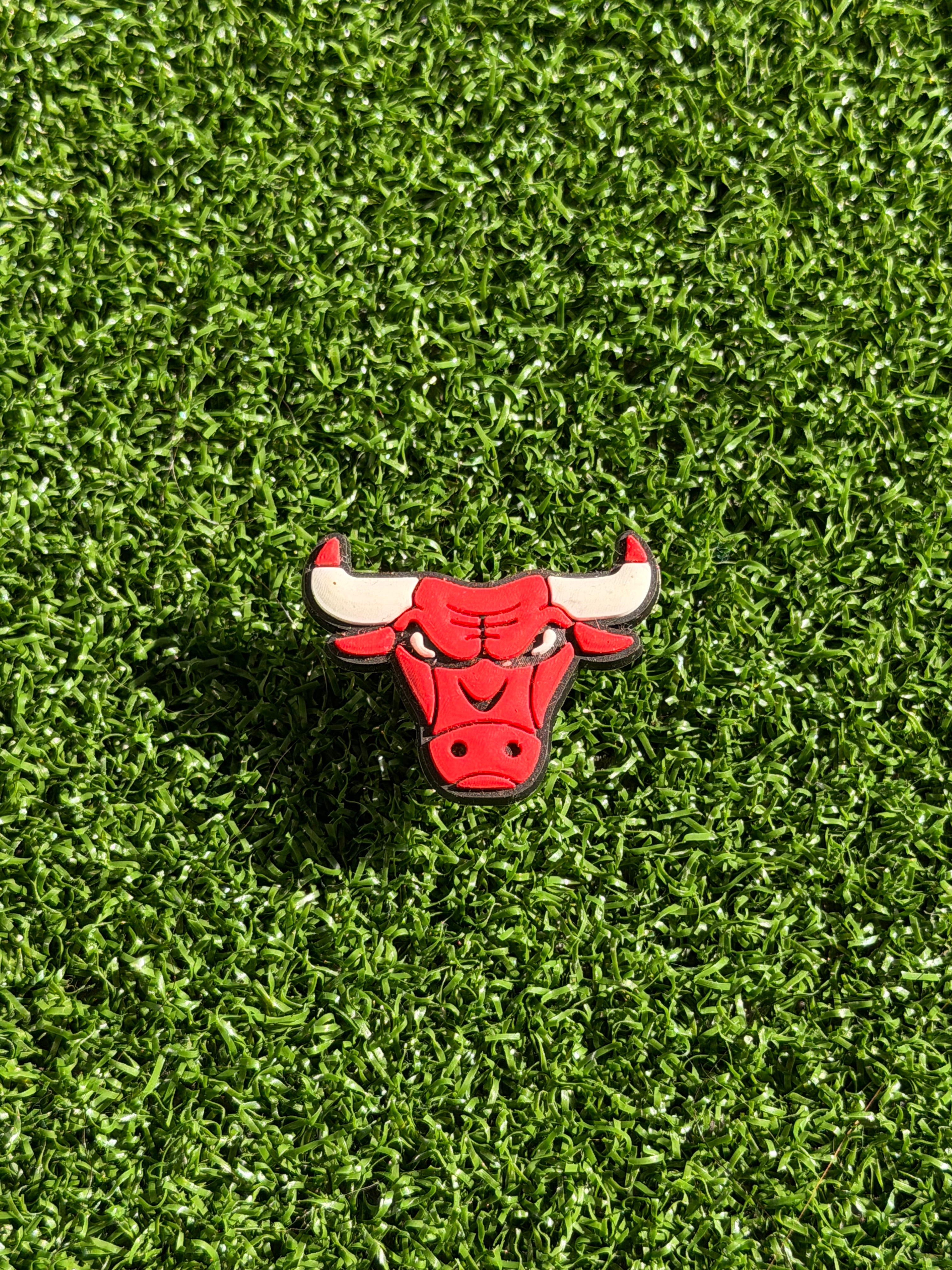 Bulls Charm