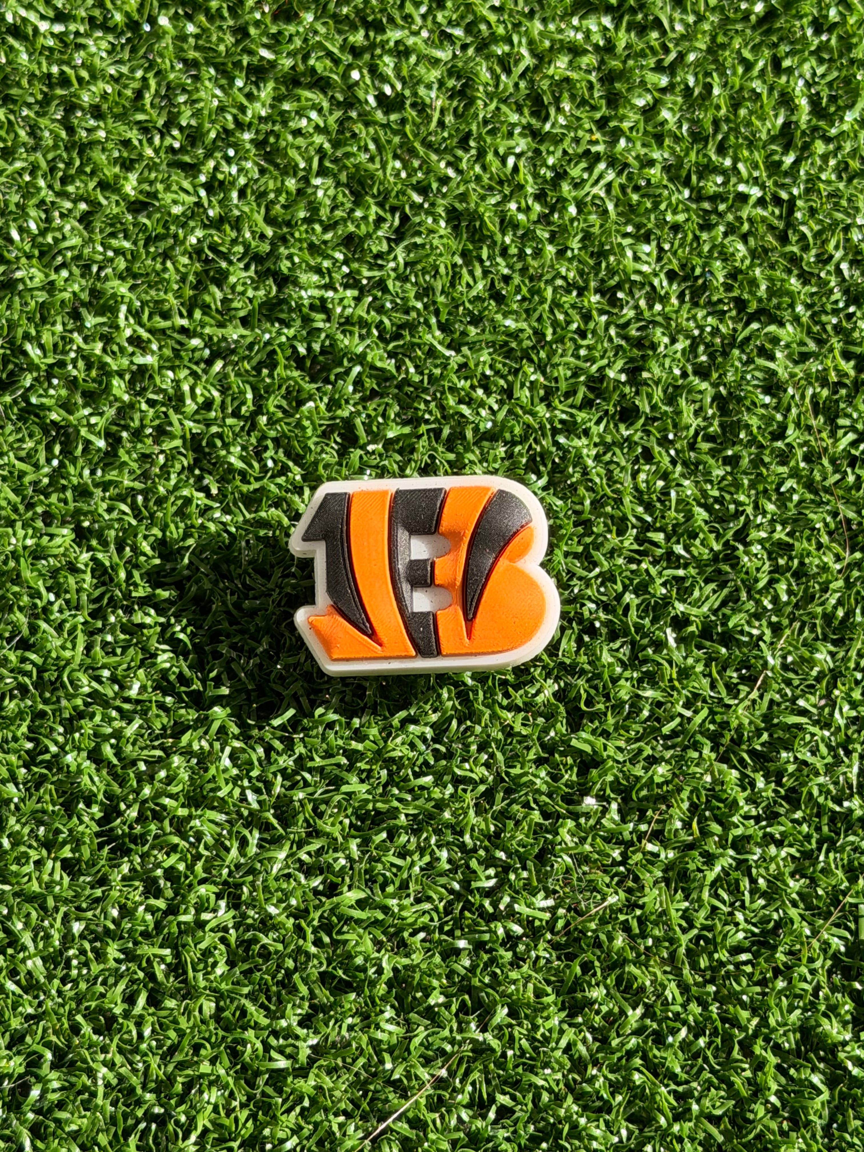Bengals Charm