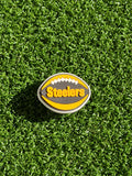 Steelers Charm