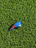 Patriots Charm