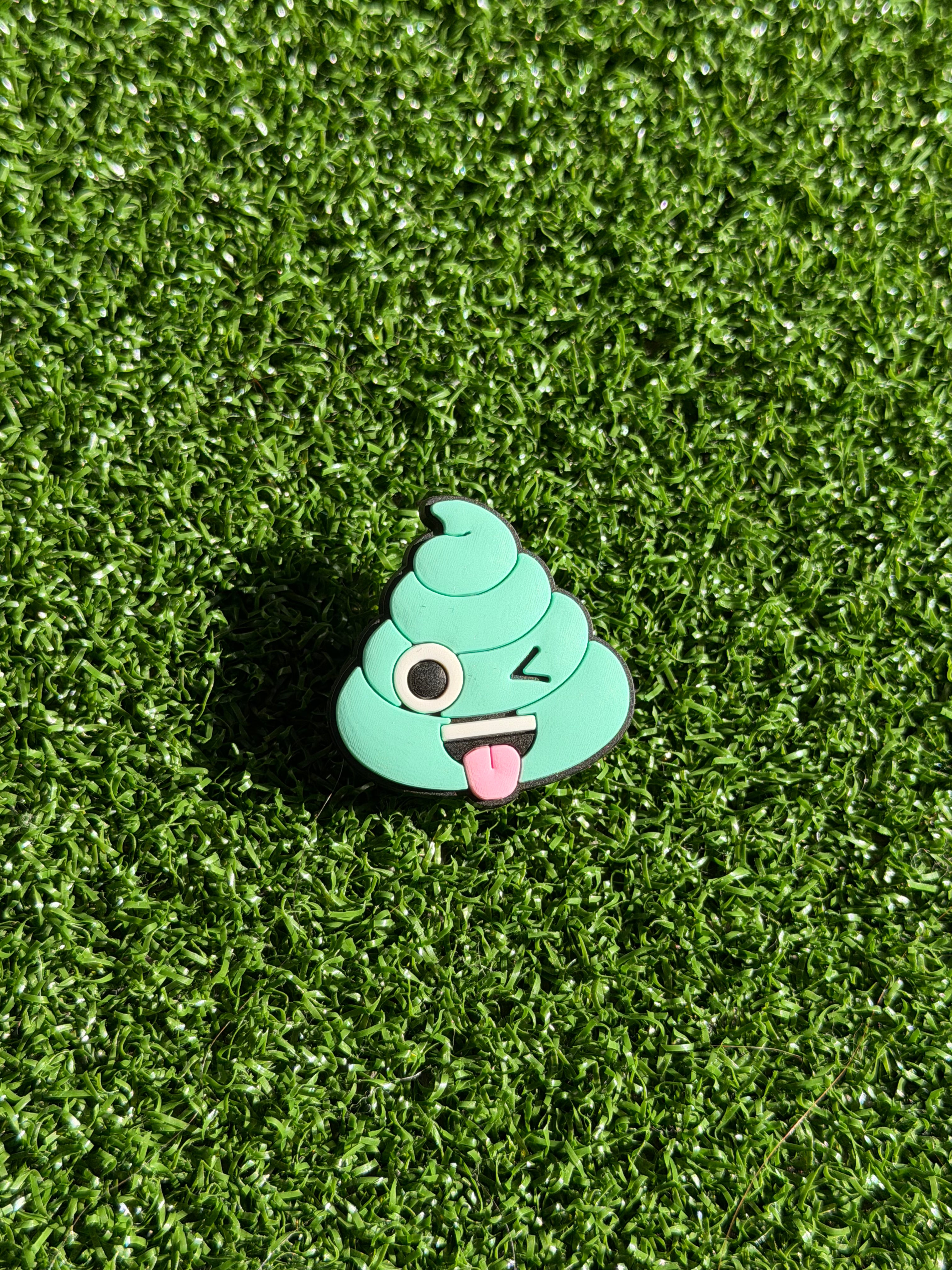 Silly Poop Charm